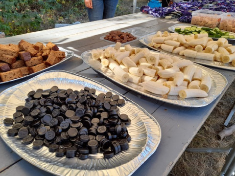 D29aeeda 0644 40f2 acb5 3eef423680f1