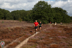 IMG 5549