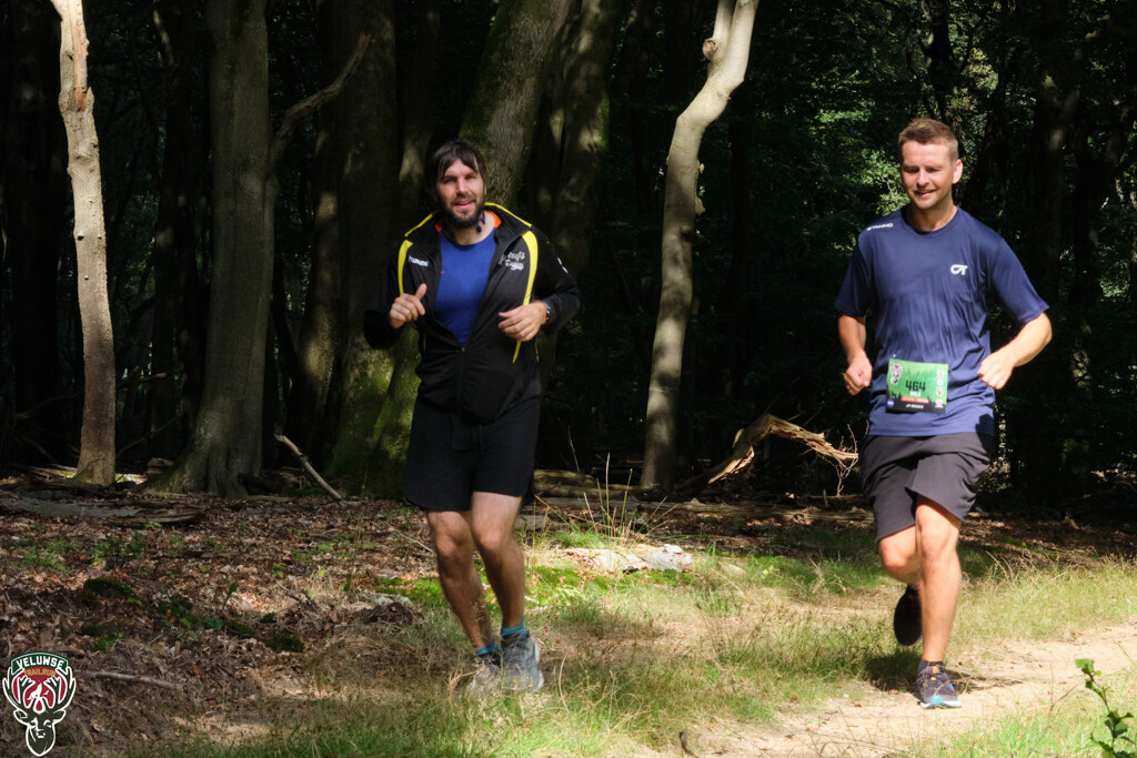 TOMR3074