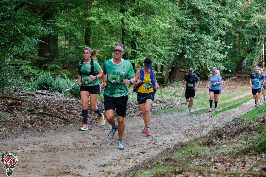 TOMR3417